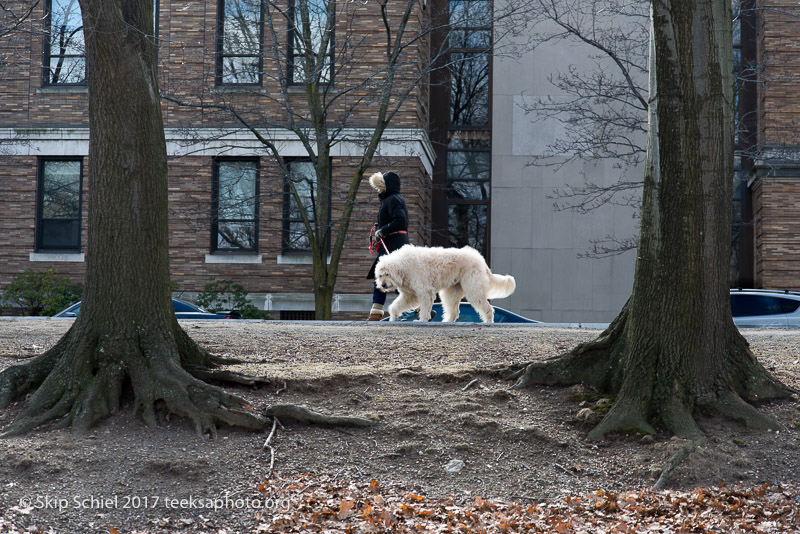 Boston Emerald Necklace__DSC3748