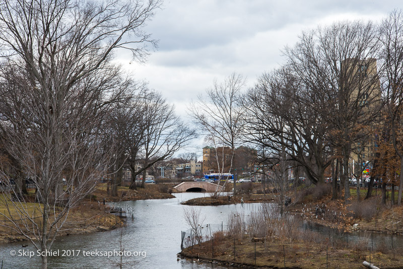 Boston Emerald Necklace__DSC3752