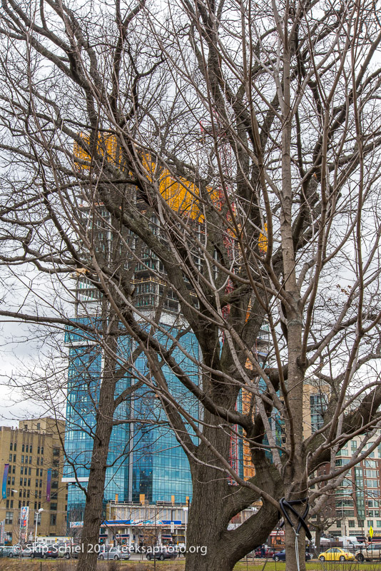 Boston Emerald Necklace__DSC3757