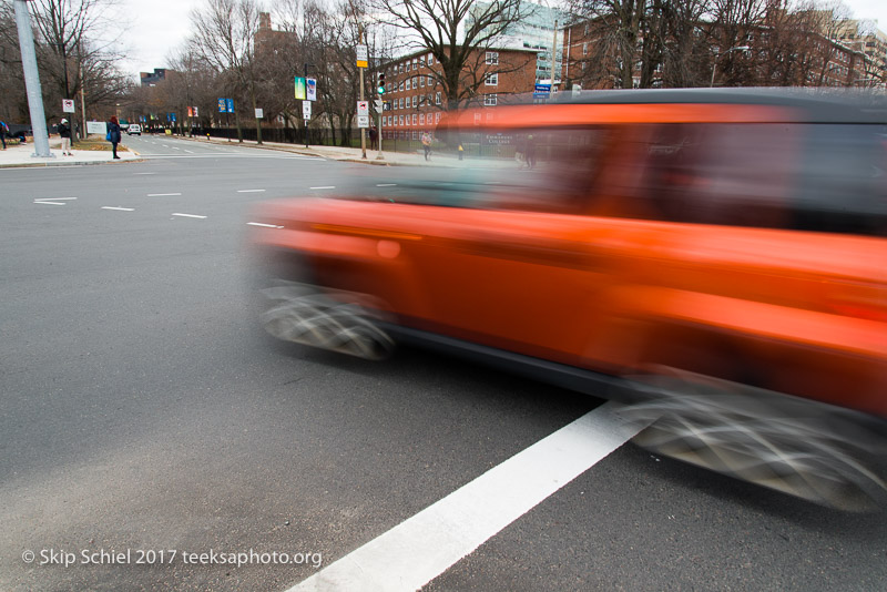 Boston Emerald Necklace__DSC3777