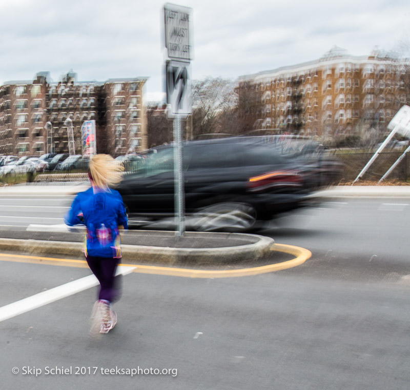 Boston Emerald Necklace__DSC3792