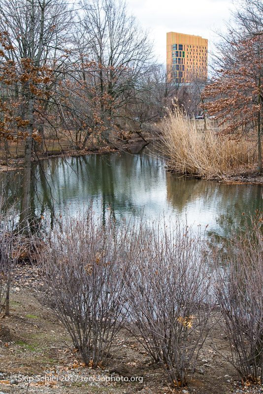 Boston Emerald Necklace__DSC3821