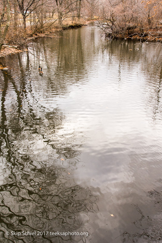 Boston Emerald Necklace__DSC3863