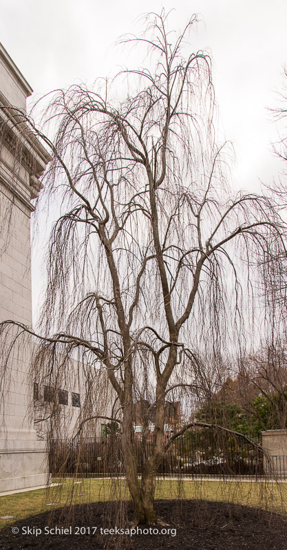 Boston Emerald Necklace__DSC3865