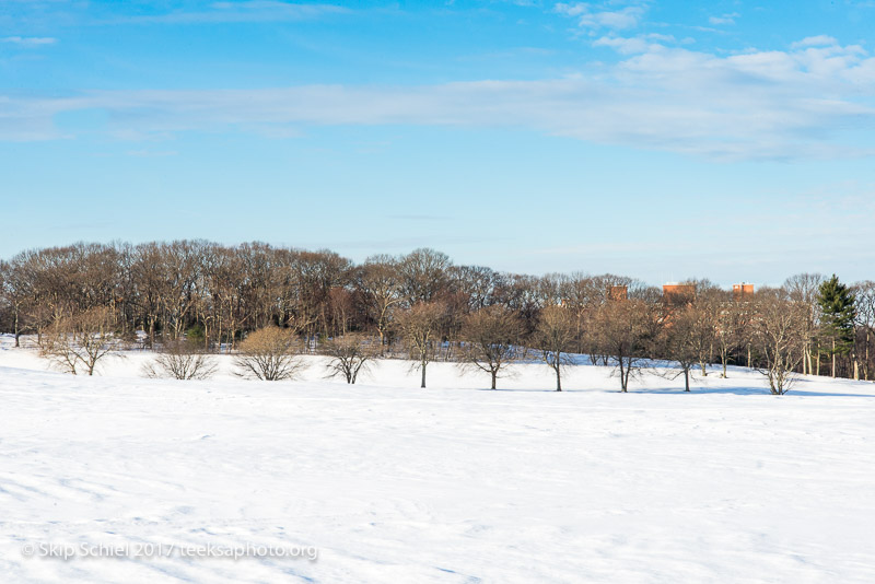 Boston Emerald Necklace-Franklin Park_DSC4381