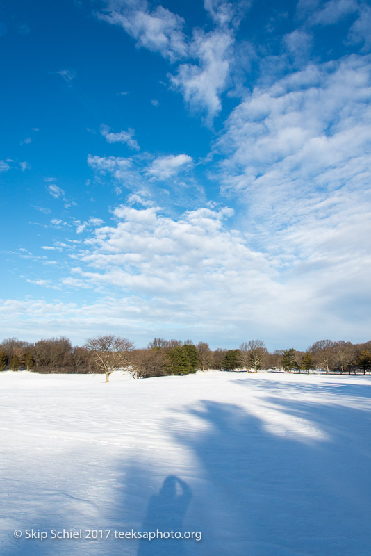 Boston Emerald Necklace-Franklin Park_DSC4394