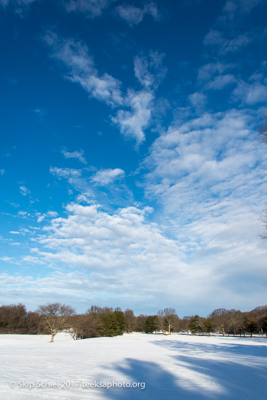 Boston Emerald Necklace-Franklin Park_DSC4396