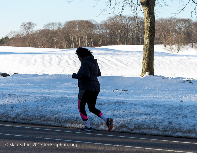 Boston Emerald Necklace-Franklin Park_DSC4404