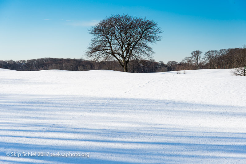 Boston Emerald Necklace-Franklin Park_DSC4413