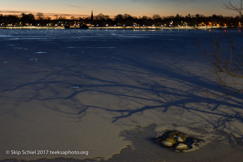 Boston Emerald Necklace_Jamaica Pond_DSC4197