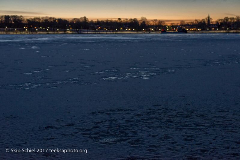 Boston Emerald Necklace_Jamaica Pond_DSC4212