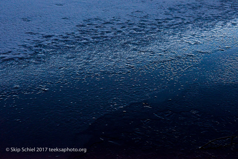 Boston Emerald Necklace_Jamaica Pond_DSC4217