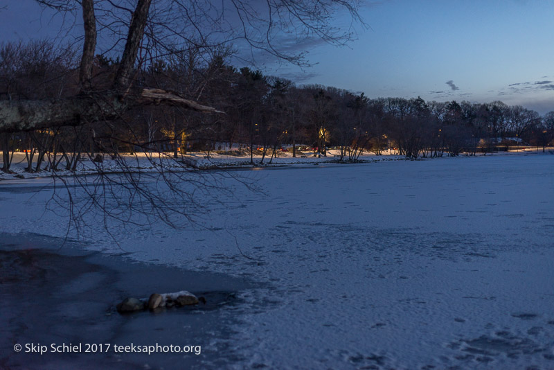 Boston Emerald Necklace_Jamaica Pond_DSC4222