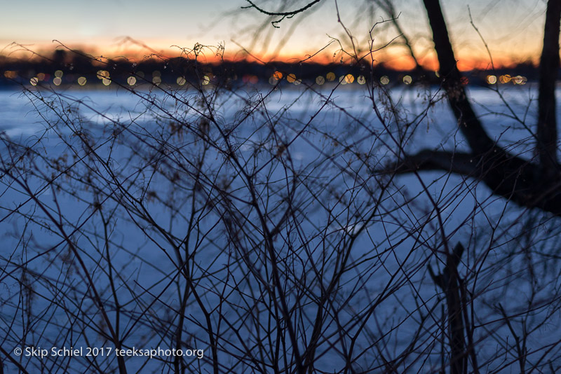 Boston Emerald Necklace_Jamaica Pond_DSC4227