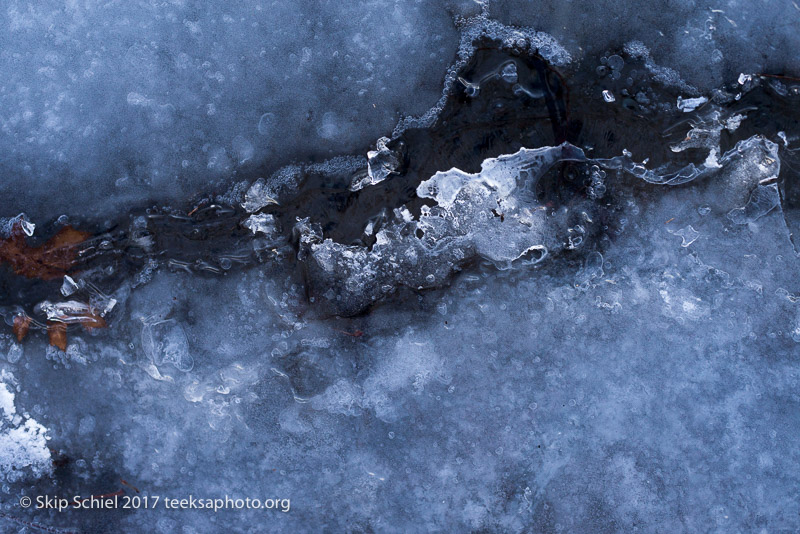 Boston Emerald Necklace_Jamaica Pond_DSC4263