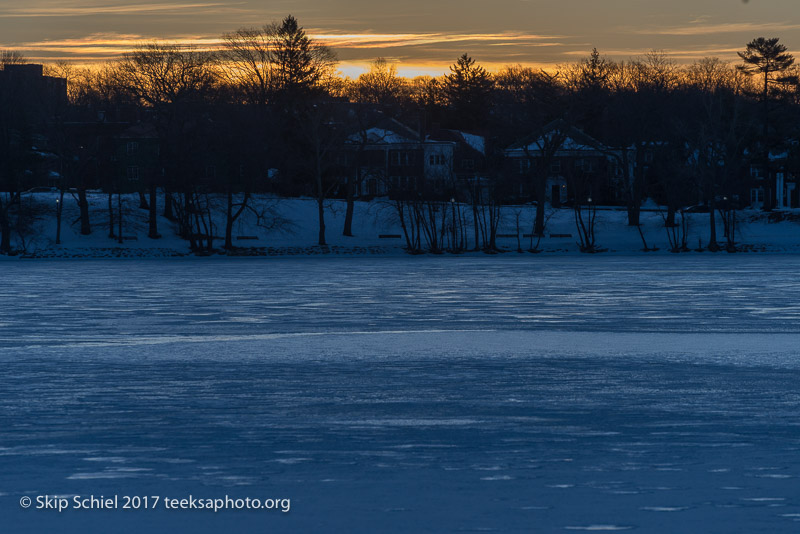 Boston Emerald Necklace_Jamaica Pond_DSC4311