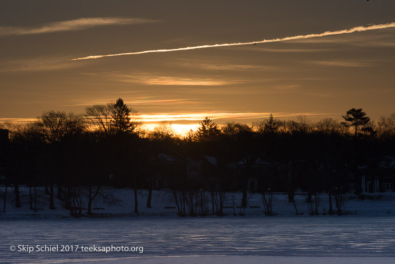 Boston Emerald Necklace_Jamaica Pond_DSC4324