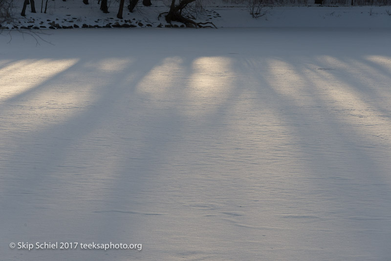 Boston Emerald Necklace_Jamaica Pond_DSC4359