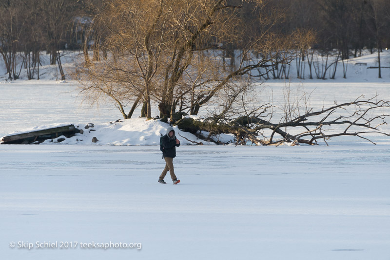 Boston Emerald Necklace_Jamaica Pond_DSC4362