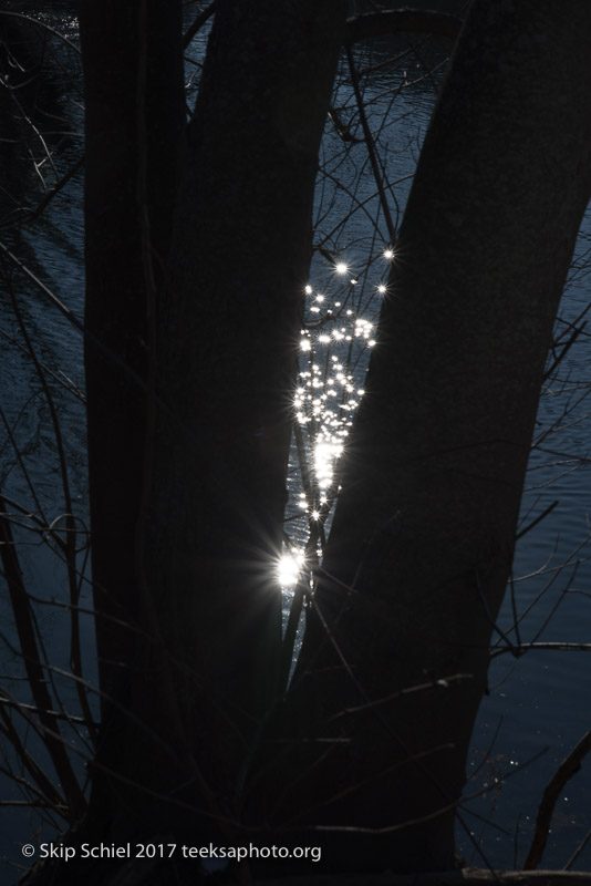 Boston Emerald Necklace__DSC3870