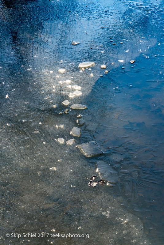 Boston Emerald Necklace__DSC3918