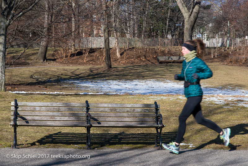 Boston Emerald Necklace__DSC3921