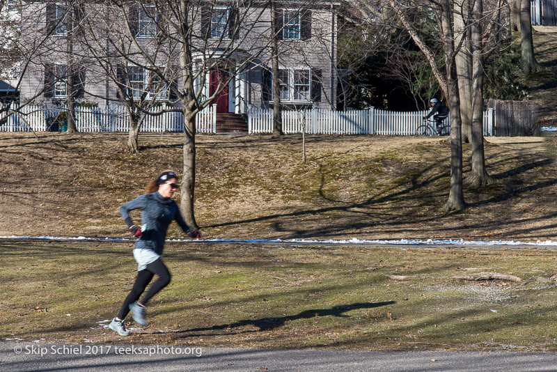 Boston Emerald Necklace__DSC3924