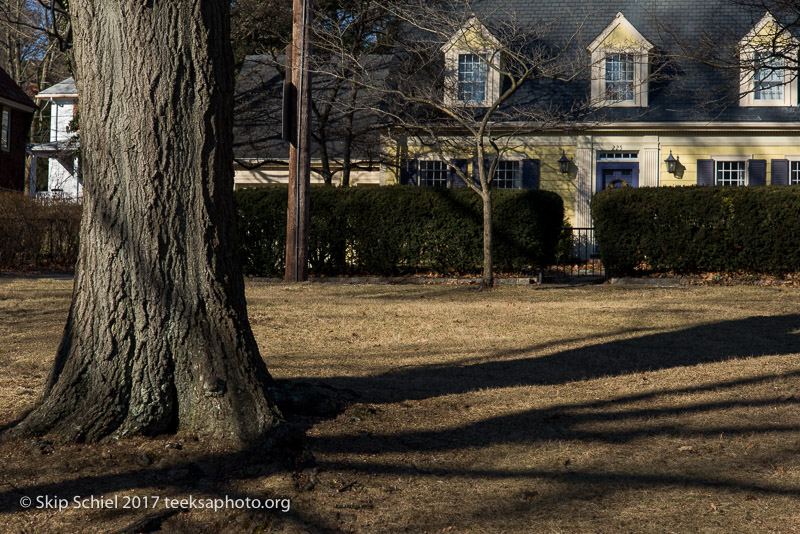 Boston Emerald Necklace__DSC3934