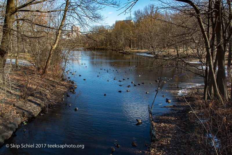 Boston Emerald Necklace__DSC3944