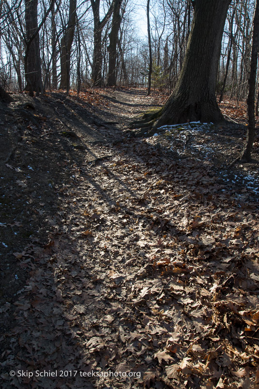 Boston Emerald Necklace__DSC3945