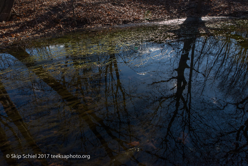 Boston Emerald Necklace__DSC3969