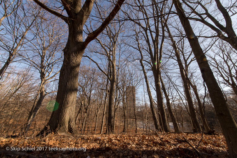 Boston Emerald Necklace__DSC3979