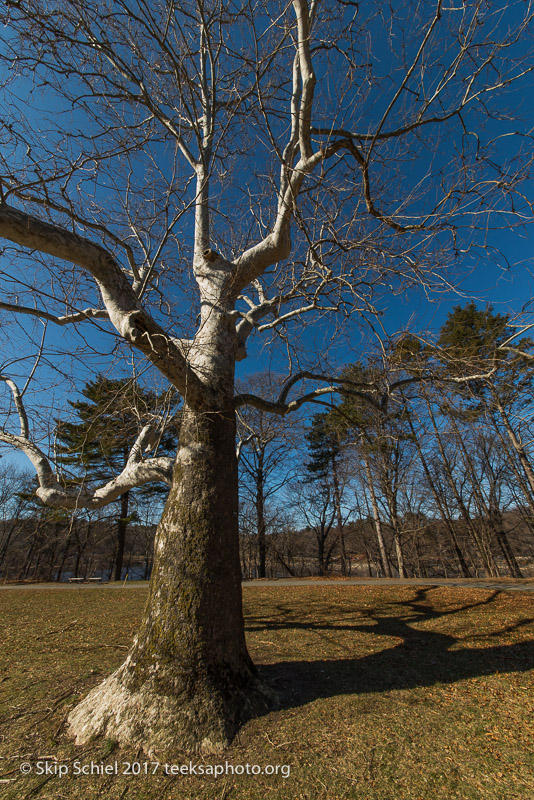 Boston Emerald Necklace__DSC3990