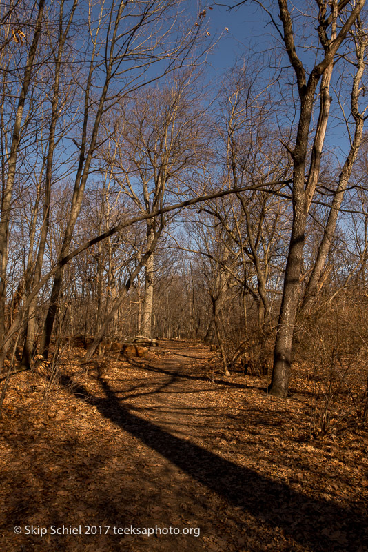 Boston Emerald Necklace__DSC4031