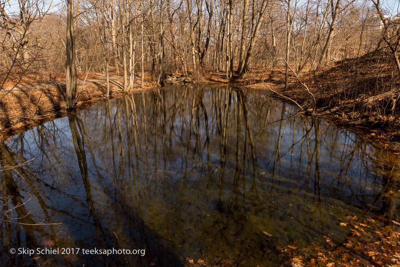 Boston Emerald Necklace__DSC4033