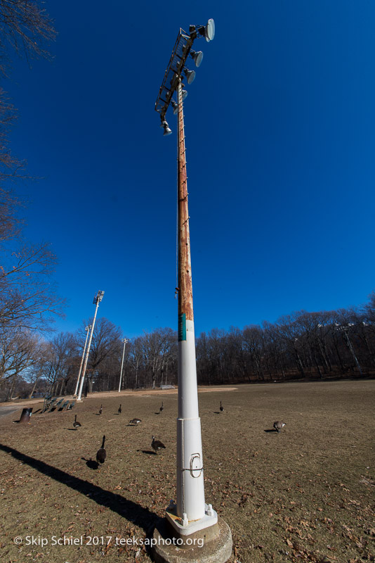 Boston Emerald Necklace__DSC4035