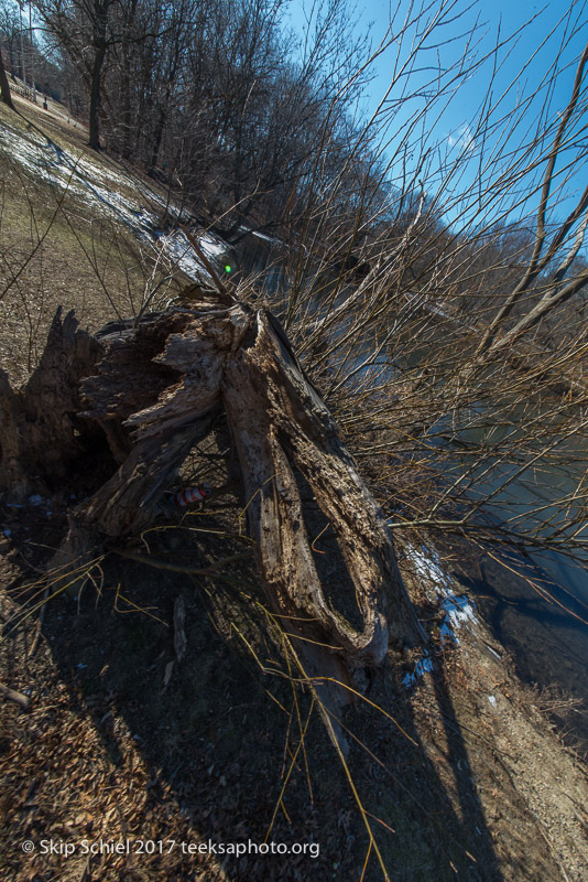 Boston Emerald Necklace__DSC4043