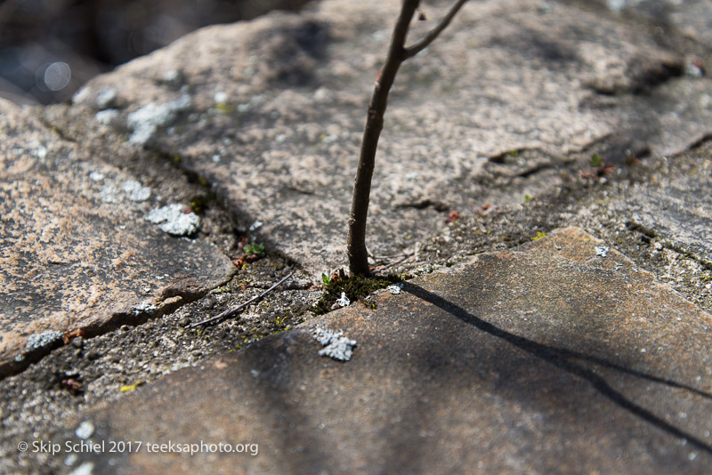 Waltham-Mill Town-_DSC4993