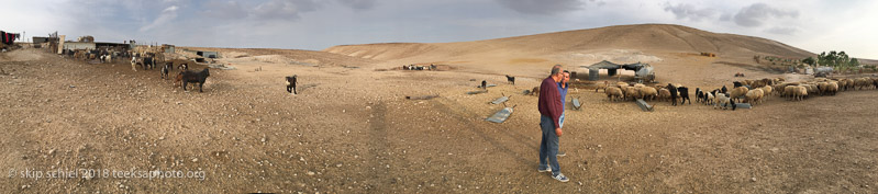 Palestine-Bedouin-refugeeIMG_2308