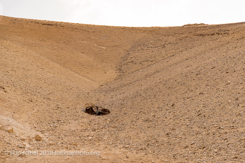 Palestine-Bedouin-refugee_DSC0657