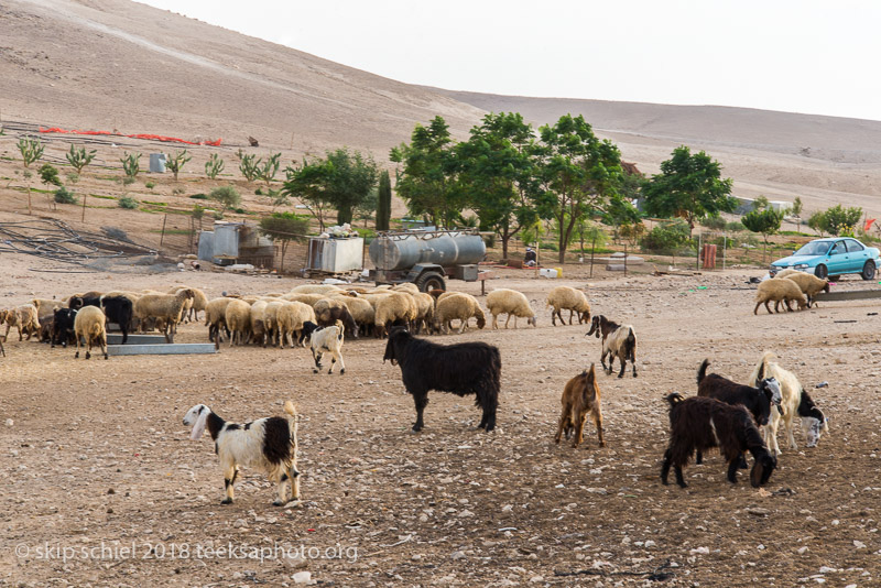 Palestine-Bedouin-refugee_DSC0894