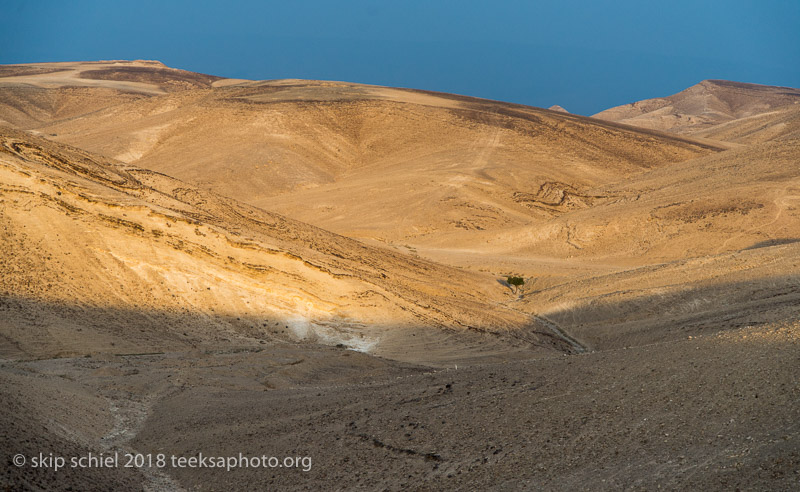 Palestine-Bedouin-refugee_DSC0981