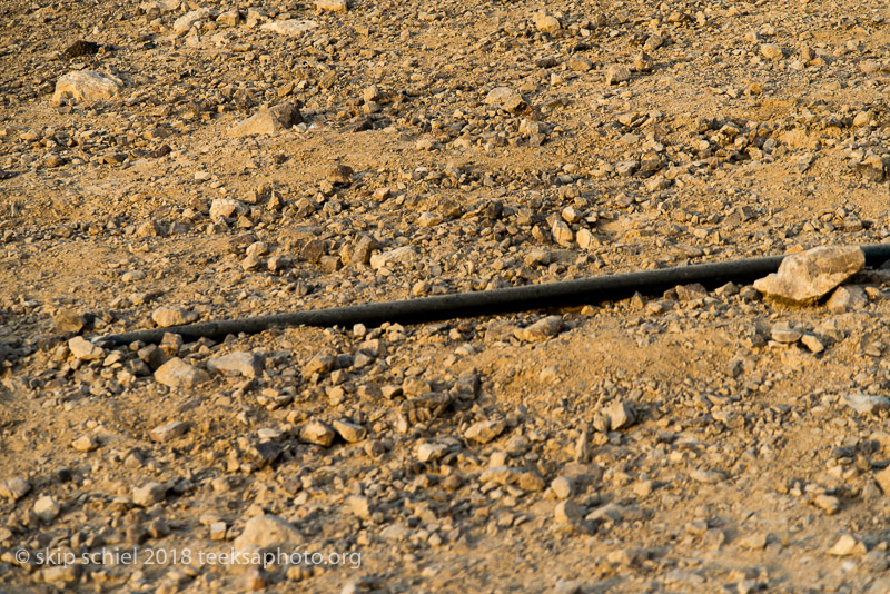 Palestine-Bedouin-refugee_DSC1007