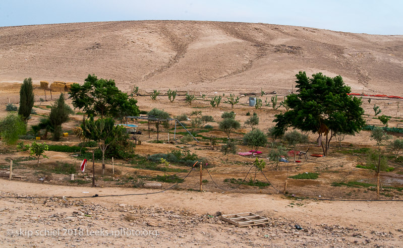 Palestine-Bedouin-refugee_DSC1086