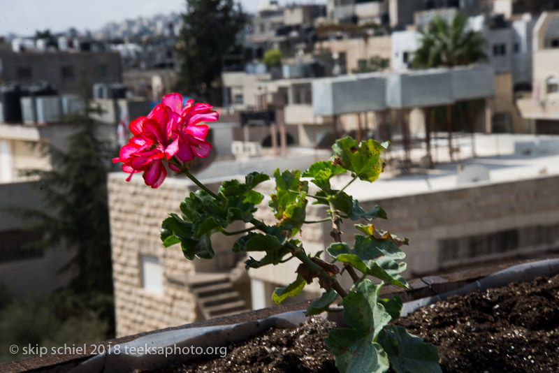 Palestine-Israel-Aida-refugee_DSC1124