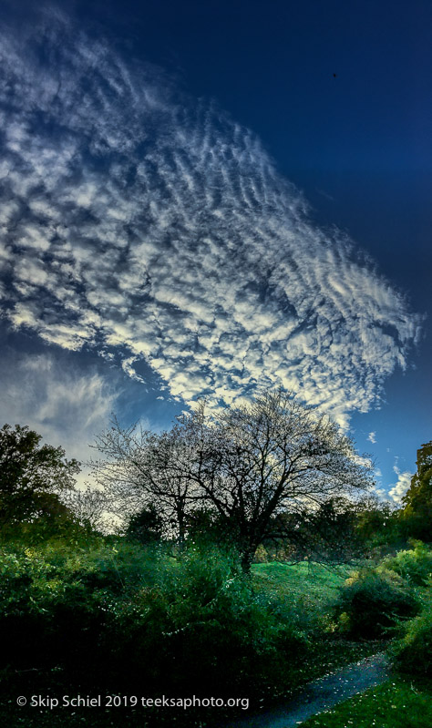 Arboretum-BostonIMG_3792