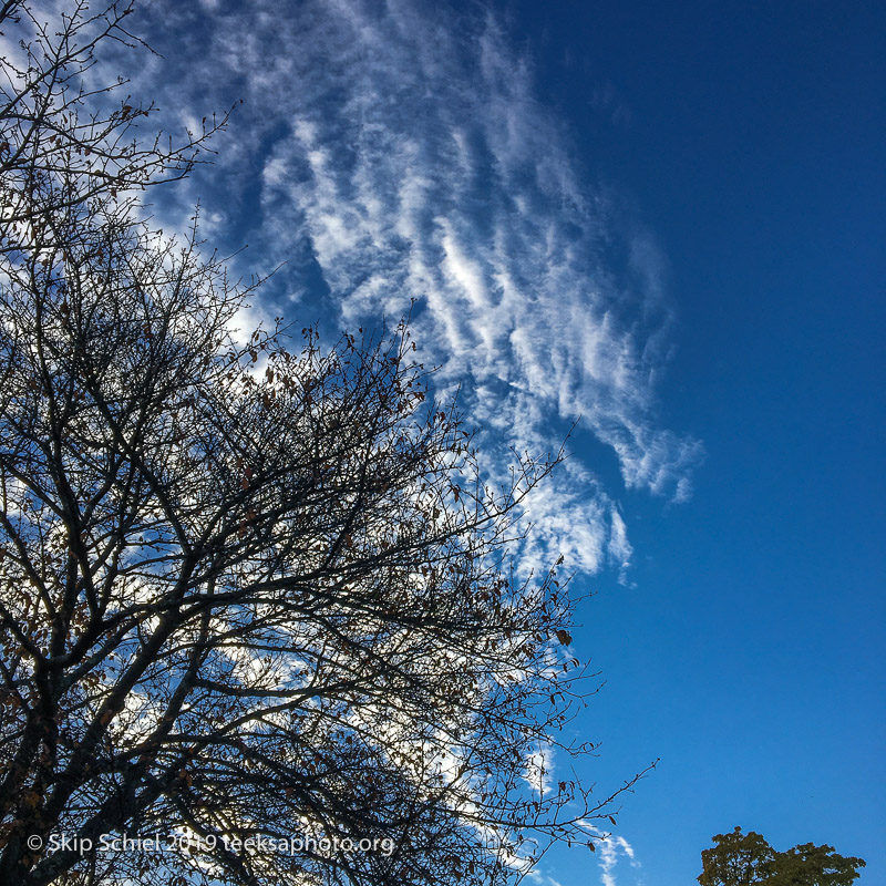 Arboretum-BostonIMG_3796