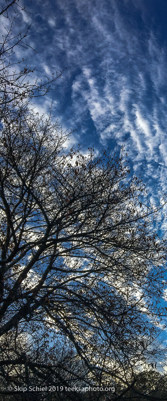 Arboretum-BostonIMG_3797