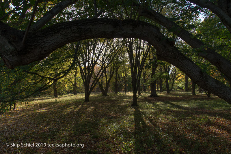 Arboretum-Boston_DSC5285