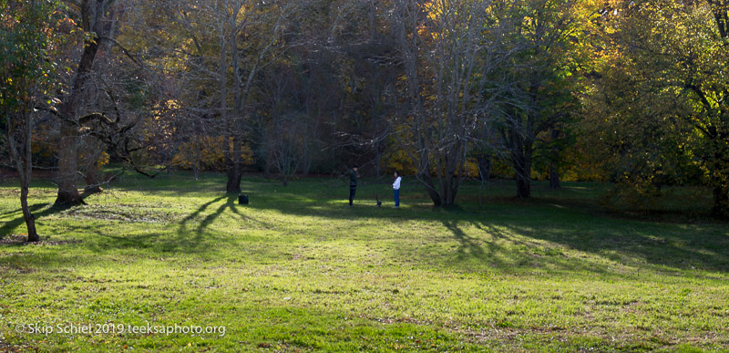 Arboretum-Boston_DSC5286-Edit